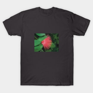 ‘Ōhi’a Lehua flower - digital painting T-Shirt